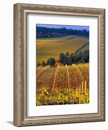 Knutsen Vineyard in the Red Hills of the Willamette Valley, Oregon, USA-Janis Miglavs-Framed Photographic Print