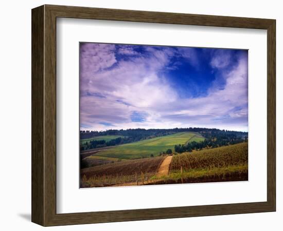 Knutsen Vineyard in the Red Hills of the Willamette Valley, Oregon, USA-Janis Miglavs-Framed Photographic Print