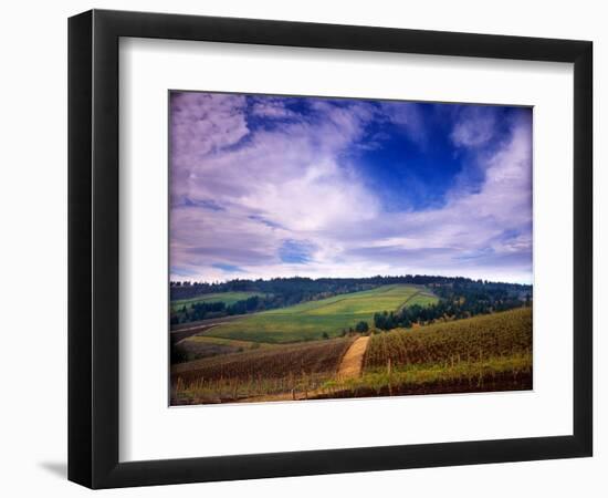 Knutsen Vineyard in the Red Hills of the Willamette Valley, Oregon, USA-Janis Miglavs-Framed Photographic Print