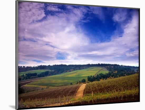 Knutsen Vineyard in the Red Hills of the Willamette Valley, Oregon, USA-Janis Miglavs-Mounted Photographic Print