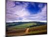 Knutsen Vineyard in the Red Hills of the Willamette Valley, Oregon, USA-Janis Miglavs-Mounted Photographic Print