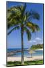 Ko Olina Beach, West Coast, Oahu, Hawaii, United States of America, Pacific-Michael DeFreitas-Mounted Photographic Print