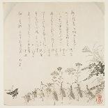 Autumn Flowers and Singing Insects, C.1854-59-Ko Sukoku II-Framed Premier Image Canvas