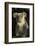 Koala, Australia (Phascolarctos cinereus)-David Wall-Framed Photographic Print