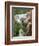 Koala, Australia-David Wall-Framed Photographic Print