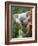 Koala, Australia-David Wall-Framed Photographic Print