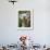 Koala, Australia-David Wall-Framed Photographic Print displayed on a wall