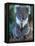 Koala, Australia-John & Lisa Merrill-Framed Premier Image Canvas