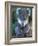 Koala, Australia-John & Lisa Merrill-Framed Photographic Print