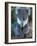 Koala, Australia-John & Lisa Merrill-Framed Photographic Print