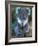 Koala, Australia-John & Lisa Merrill-Framed Photographic Print