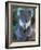 Koala, Australia-John & Lisa Merrill-Framed Photographic Print