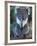 Koala, Australia-John & Lisa Merrill-Framed Photographic Print