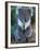 Koala, Australia-John & Lisa Merrill-Framed Photographic Print