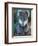 Koala, Australia-John & Lisa Merrill-Framed Photographic Print