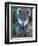 Koala, Australia-John & Lisa Merrill-Framed Photographic Print