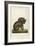 Koala Bear Carrying Its Young-Lecerf-Framed Art Print