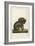 Koala Bear Carrying Its Young-Lecerf-Framed Premium Giclee Print