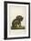 Koala Bear Carrying Its Young-Lecerf-Framed Premium Giclee Print