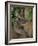 Koala Bear in a Gum Tree, Parndana Wildlife Park, Kangaroo Island, South Australia, Australia-Neale Clarke-Framed Photographic Print