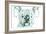 Koala Bear-Cristian Mielu-Framed Art Print