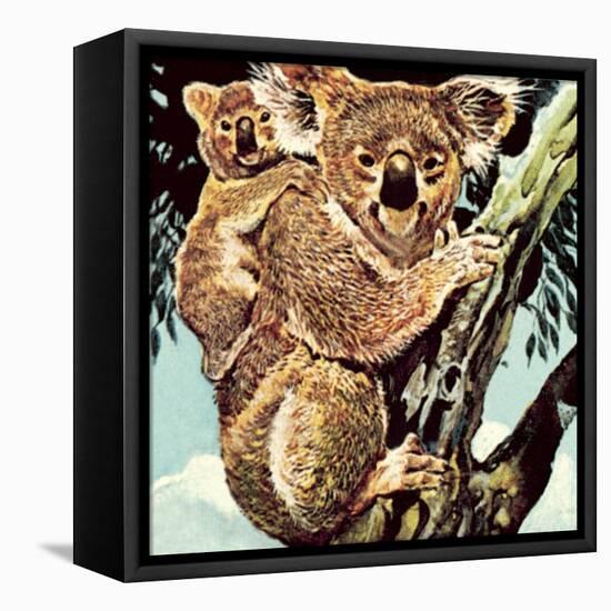 Koala Bear-English School-Framed Premier Image Canvas