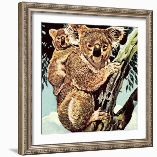 Koala Bear-English School-Framed Giclee Print