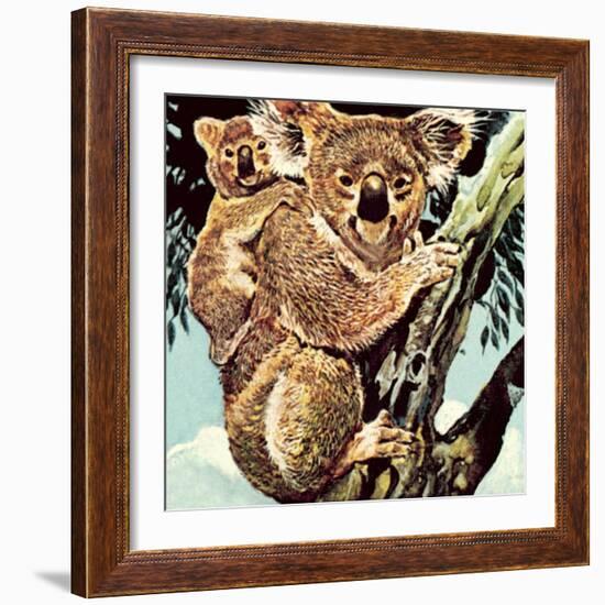 Koala Bear-English School-Framed Giclee Print