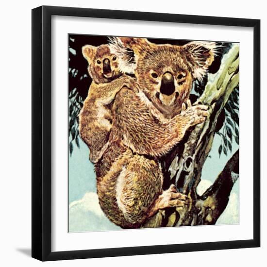 Koala Bear-English School-Framed Giclee Print