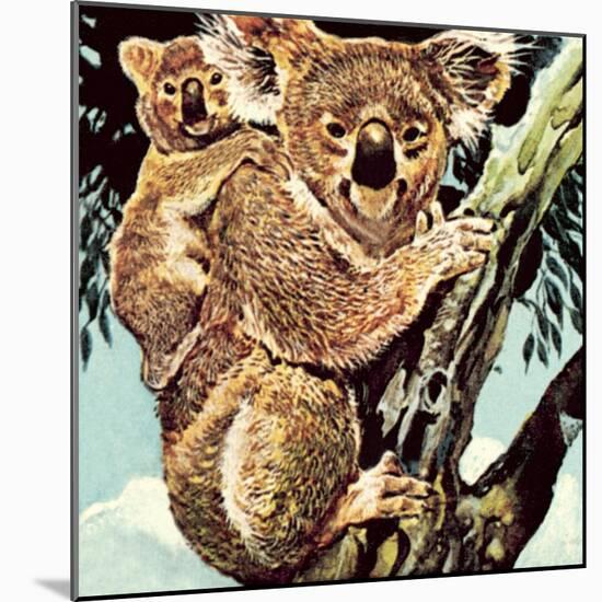 Koala Bear-English School-Mounted Giclee Print