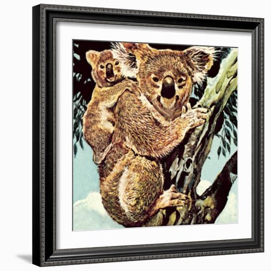 Koala Bear-English School-Framed Giclee Print