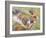 Koala Collage I-Elizabeth St. Hilaire-Framed Art Print