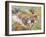 Koala Collage I-Elizabeth St. Hilaire-Framed Art Print