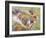 Koala Collage I-Elizabeth St. Hilaire-Framed Art Print