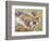 Koala Collage I-Elizabeth St. Hilaire-Framed Premium Giclee Print