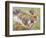 Koala Collage I-Elizabeth St. Hilaire-Framed Premium Giclee Print