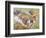 Koala Collage I-Elizabeth St. Hilaire-Framed Premium Giclee Print