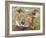 Koala Collage II-Elizabeth St. Hilaire-Framed Art Print