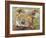 Koala Collage II-Elizabeth St. Hilaire-Framed Art Print