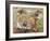 Koala Collage II-Elizabeth St. Hilaire-Framed Art Print