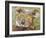 Koala Collage II-Elizabeth St. Hilaire-Framed Art Print