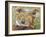 Koala Collage II-Elizabeth St. Hilaire-Framed Art Print