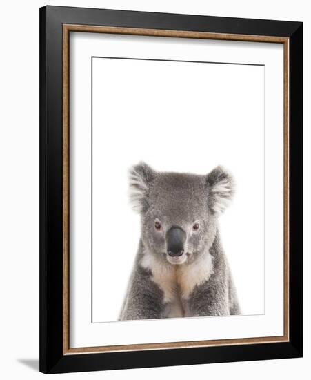 Koala Friend-Marco Simoni-Framed Giclee Print