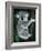 Koala, in Tree, Queensland, Australia-Lynn M. Stone-Framed Photographic Print