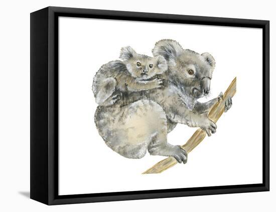 Koala (Phascolarctos Cinereus), Marsupial, Mammals-Encyclopaedia Britannica-Framed Stretched Canvas