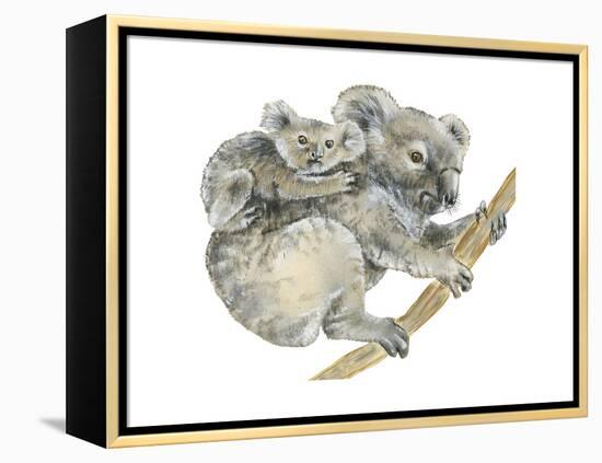 Koala (Phascolarctos Cinereus), Marsupial, Mammals-Encyclopaedia Britannica-Framed Stretched Canvas