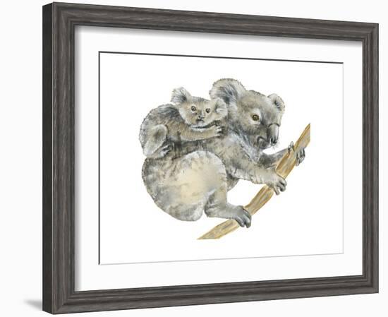 Koala (Phascolarctos Cinereus), Marsupial, Mammals-Encyclopaedia Britannica-Framed Art Print