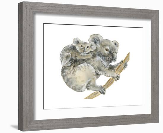 Koala (Phascolarctos Cinereus), Marsupial, Mammals-Encyclopaedia Britannica-Framed Art Print