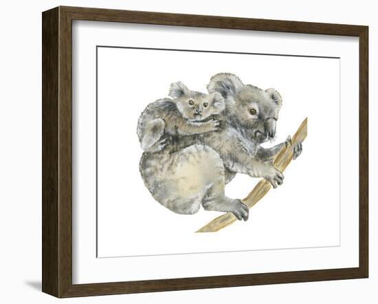 Koala (Phascolarctos Cinereus), Marsupial, Mammals-Encyclopaedia Britannica-Framed Art Print