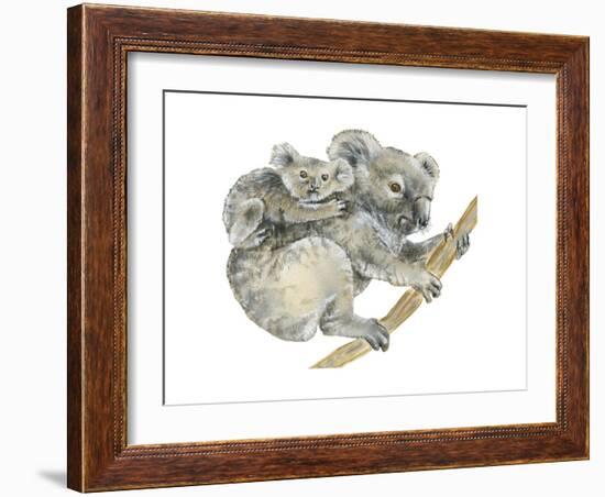 Koala (Phascolarctos Cinereus), Marsupial, Mammals-Encyclopaedia Britannica-Framed Art Print